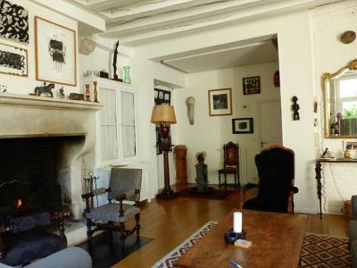 Life-annuity Chatillon-sur-loire 10 rooms 300 m2 Loiret (45360) photo 3
