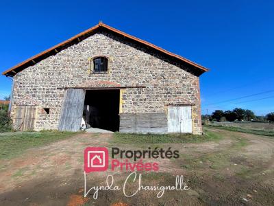 Annonce Vente 3 pi�ces Maison Riorges 42