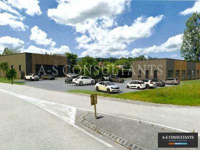 Louer Local commercial 525 m2 Domessin