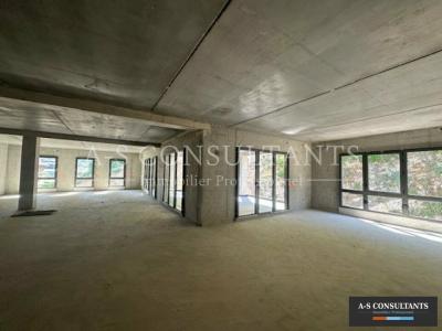 Annonce Location Bureau Ravoire 73