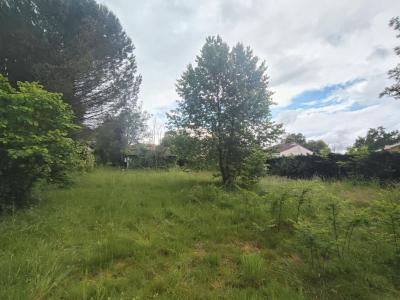Annonce Vente Terrain Lignan-de-bordeaux 33