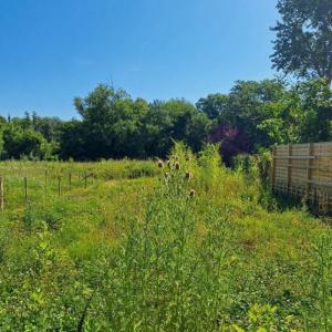 For sale Lignan-de-bordeaux 350 m2 Gironde (33360) photo 0