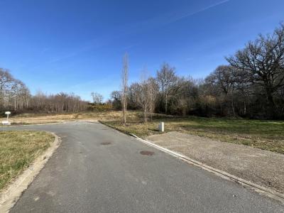 Annonce Vente Terrain Salleboeuf 33