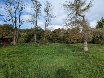 For sale Saint-caprais-de-bordeaux 7891 m2 Gironde (33880) photo 0