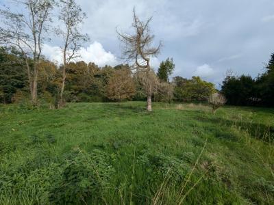 Annonce Vente Terrain Saint-caprais-de-bordeaux 33