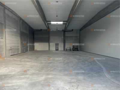 Annonce Location Commerce Cysoing 59