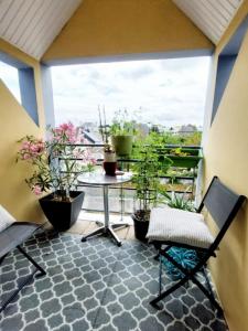 Annonce Vente 3 pi�ces Appartement Ploermel 56