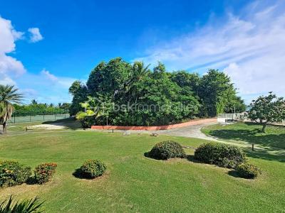 For sale Saint-francois 1 room 20 m2 Guadeloupe (97118) photo 3