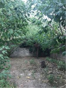 Louer Maison 73 m2 