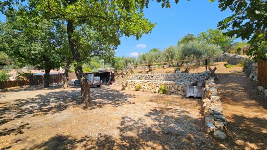 Annonce Vente 6 pi�ces Maison Callas 83