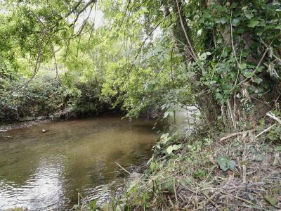 For sale Lacaze 10 rooms 200 m2 Tarn (81330) photo 3