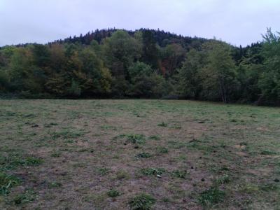 Annonce Vente Terrain Ternuay-melay-et-saint-hilaire 70