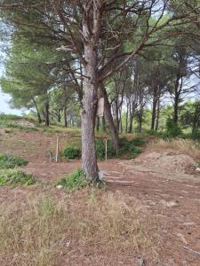 Annonce Vente Terrain Cheval-blanc 84