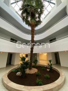 Louer Appartement Gieres 457 euros