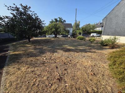 Acheter Terrain 273 m2 Chapelle-sur-erdre