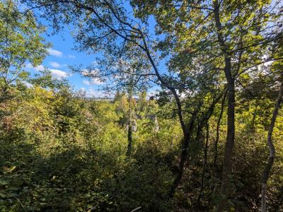 Annonce Vente Terrain Mantes-la-ville 78