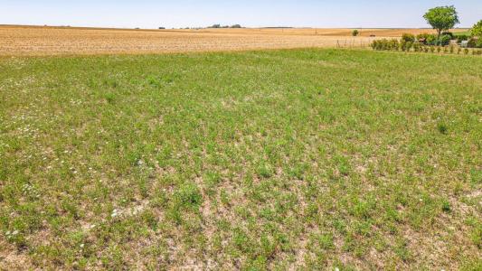 Annonce Vente Terrain Rethel 08
