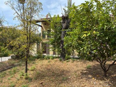 Acheter Maison Cagnes-sur-mer Alpes Maritimes