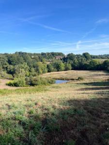 Annonce Vente 7 pi�ces Maison Dussac 24