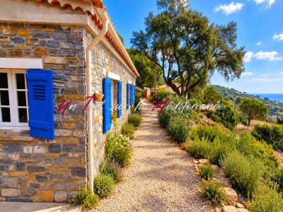 Annonce Vente 7 pi�ces Maison Lavandou 83