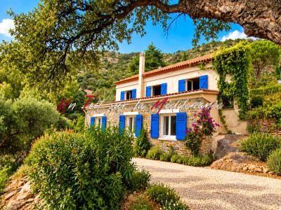 Acheter Maison 206 m2 Lavandou