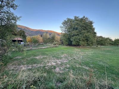 Annonce Vente Terrain Fellering 68