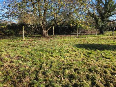 Annonce Vente 9 pi�ces Maison Savigne 86