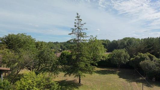 Acheter Prestige 277 m2 Saint-pierre-d'exideuil