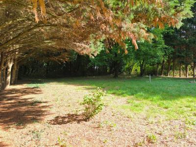 Acheter Maison Brux 150000 euros
