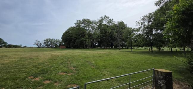 For sale Pleuville 8 rooms 238 m2 Charente (16490) photo 3