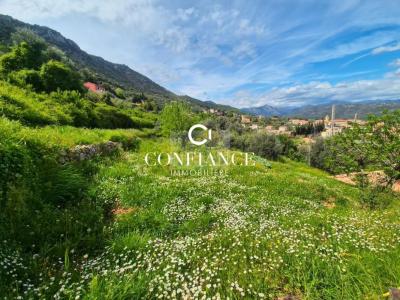 Acheter Terrain 1715 m2 Chateauneuf-villevieille
