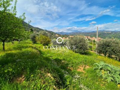 Acheter Terrain Chateauneuf-villevieille Alpes Maritimes
