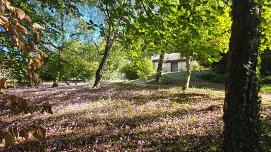 Annonce Vente 5 pi�ces Maison Civray 86