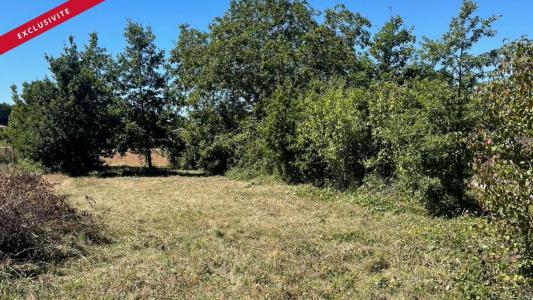 Annonce Vente Terrain Vouleme 86