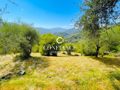 Annonce Vente Terrain Blausasc 06