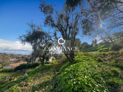 Acheter Maison Tourrettes-sur-loup 790000 euros
