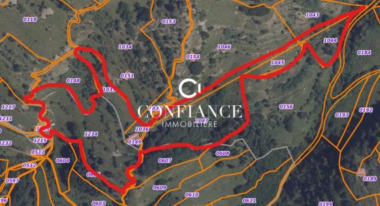 Annonce Vente 5 pi�ces Maison Saint-etienne-de-tinee 06