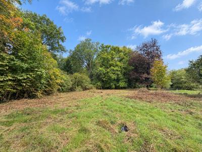 Annonce Vente Terrain Bois-le-roi 27