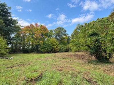 Acheter Terrain 1237 m2 Bois-le-roi