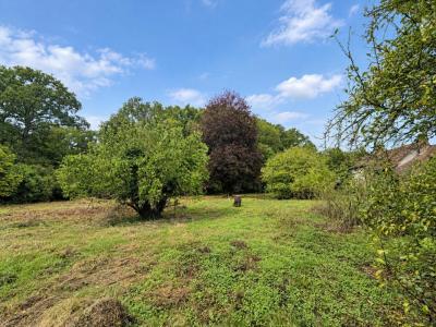 Acheter Terrain Bois-le-roi Eure