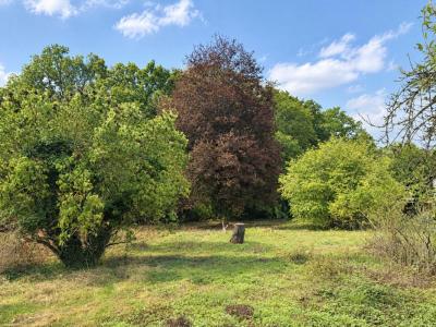Acheter Terrain Bois-le-roi 65000 euros