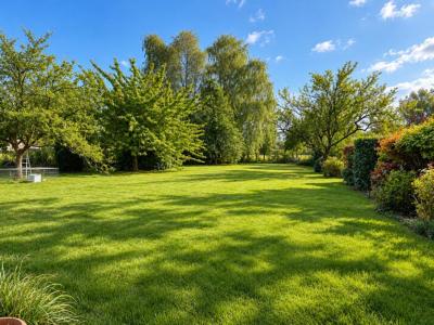 Annonce Vente 6 pi�ces Maison Raimbeaucourt 59