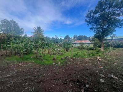 For sale Trois-rivieres 968 m2 Guadeloupe (97114) photo 1