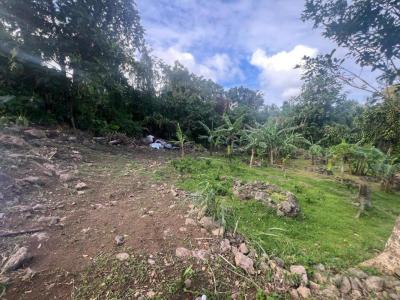 For sale Trois-rivieres 968 m2 Guadeloupe (97114) photo 2