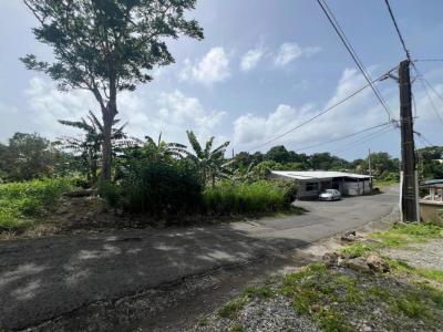 For sale Trois-rivieres 968 m2 Guadeloupe (97114) photo 3