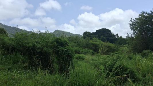 For sale Trois-rivieres 1134 m2 Guadeloupe (97114) photo 1