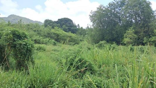 For sale Trois-rivieres 1134 m2 Guadeloupe (97114) photo 2