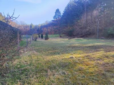 Annonce Vente 10 pi�ces Maison  57