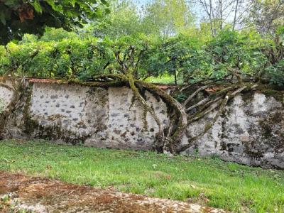 Acheter Maison 234 m2 Bort-les-orgues