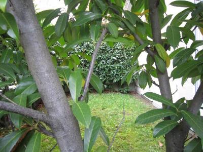 Annonce Vente 3 pi�ces Appartement Neuilly-plaisance 93